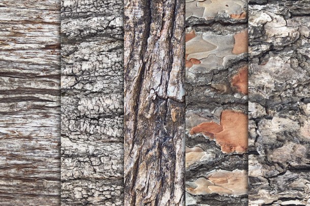 2 Tree Bark Textures Vol 2 x10 (1820)